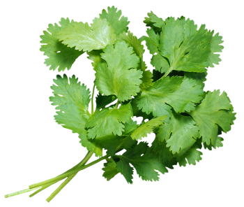 Ингредиент фото9